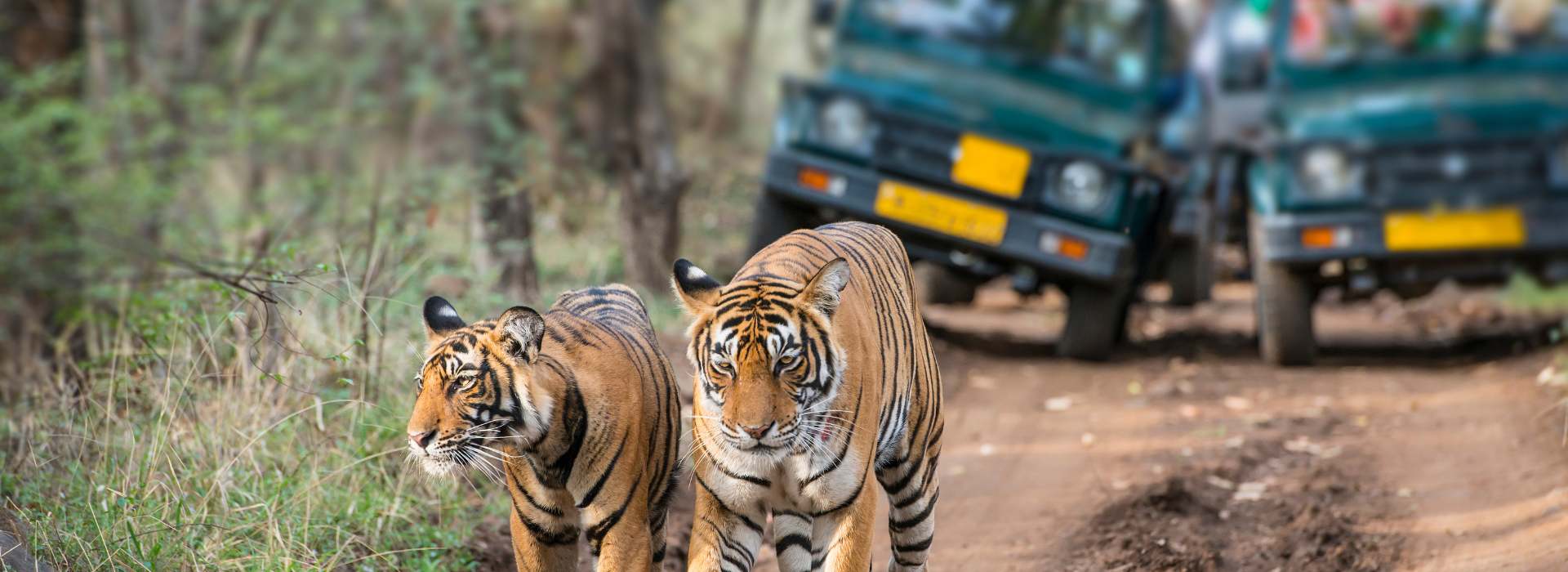 6 Nights 7 Days Delhi Mussoorie Nainital and Jim Corbett Tour