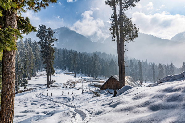 Kashmir Tour 5 Nights 6 Days