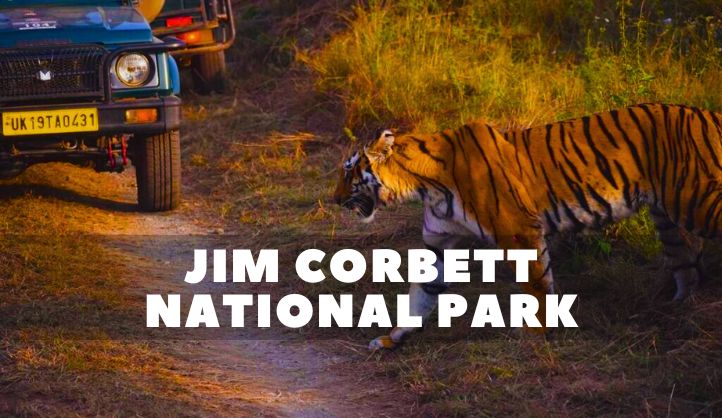 Jim Corbett 2 Nights 3 Days Tour With Private Driver – Wildlife Getaway by Car
